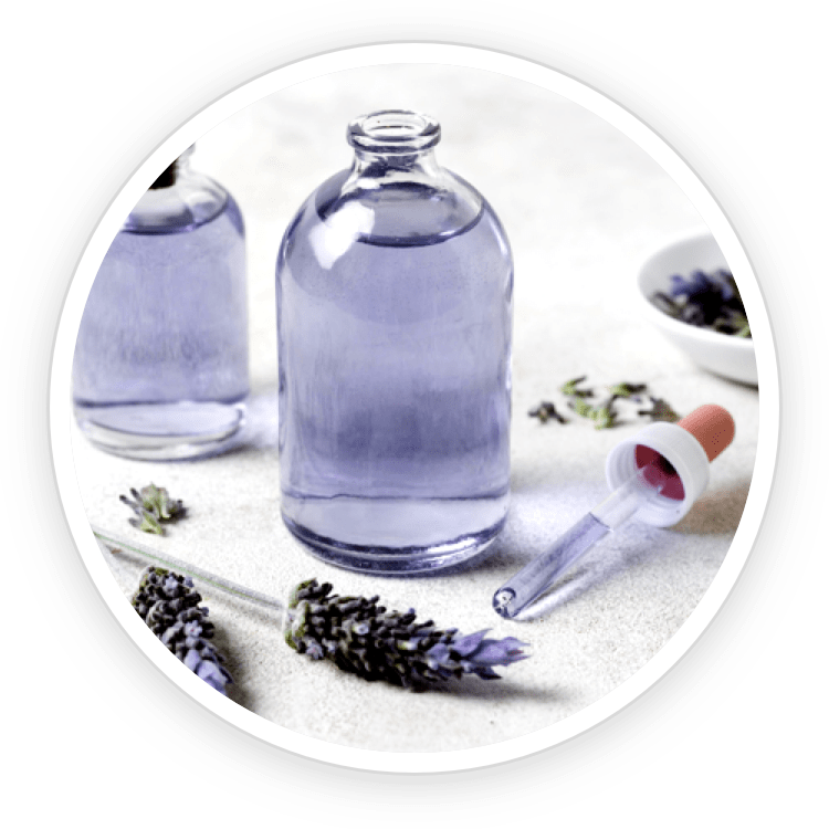 Quietum Plus ingredients